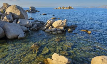 Comment une refonte de site a boost&eacute; la visibilit&eacute; d&rsquo;une PME locale